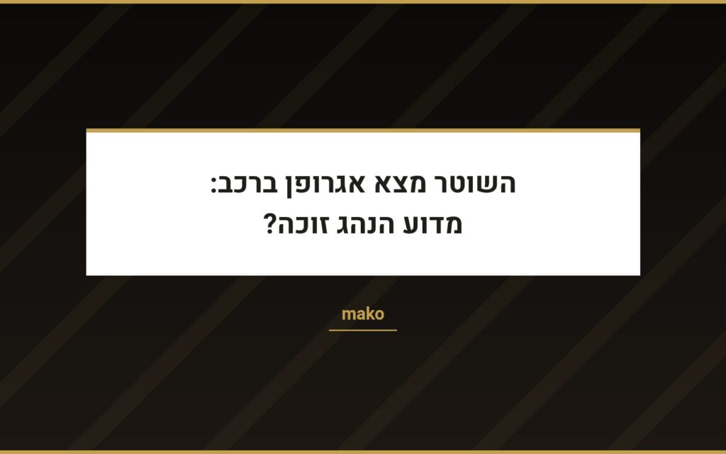 עו״ד שרון נהרי ב-mako: חיפוש ברכב ללא הסכמה